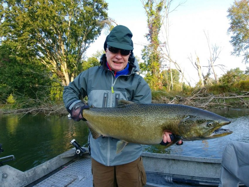 Guided Salmon Fishing Salmon Fly Fishing Guided Trips in Michigan