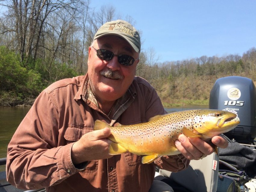 Michigan Brown Trout Brown Trout Fishing in Michigan