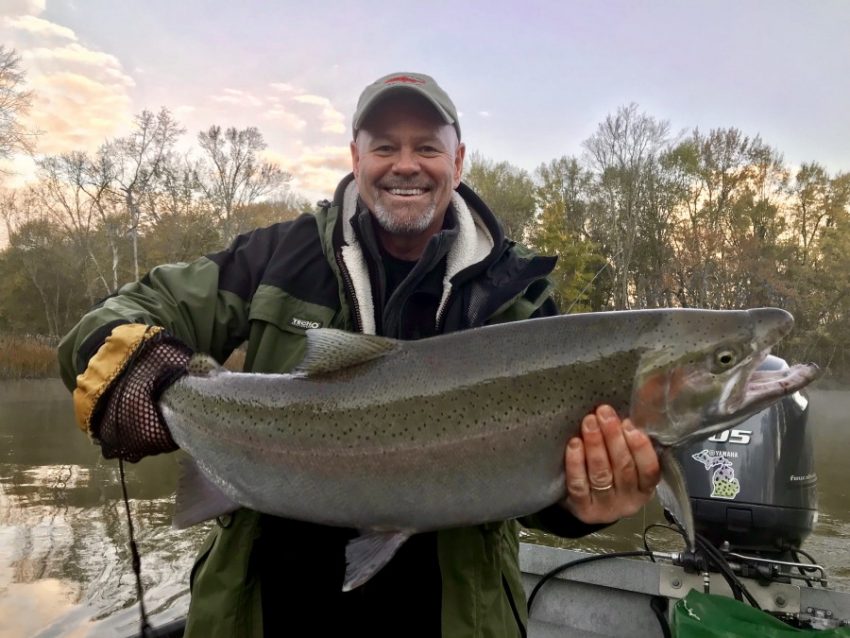 Steelhead Caught in Michigan