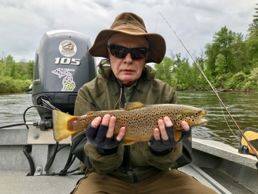 Michigan Brown Trout