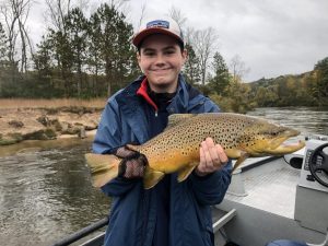 Michigan Brown Trout Michigan Brown Trout