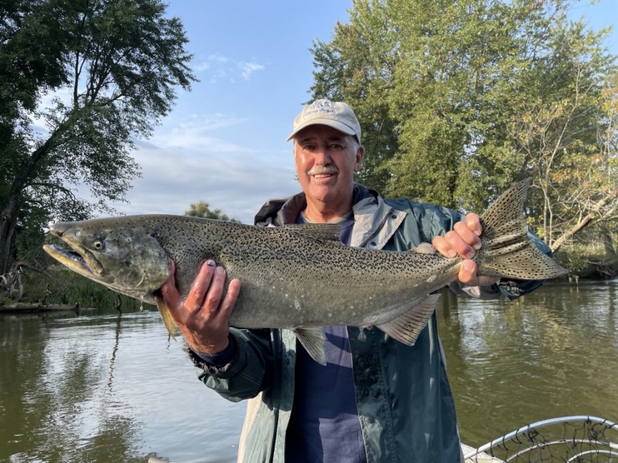 Steelhead, Salmon & Smallmouth Bass Fly Fishing Guide Manistee MI at