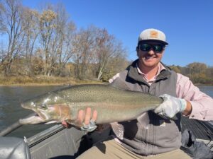 Steelhead Caught in Michigan