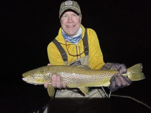 Michigan Brown Trout