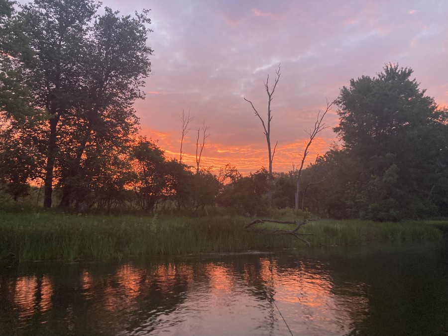 Trout, Bass, Salmon Fishing & Fly Fishing Guide in Manistee MI at Premier Angling Guide Service in Brethren, MI