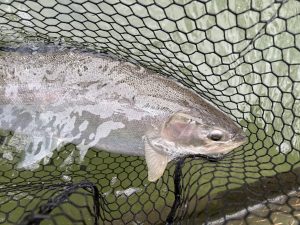 Fishing Report Manistee MI